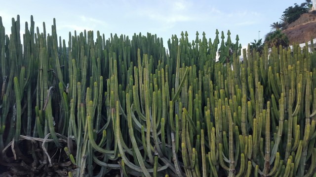 20181031_175158_resized